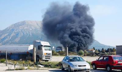 Kosovar izazvao požar i uništio 1000 stabala maslina? 