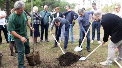  Posađena prva stabla u okviru aplikacije Moje drvo 