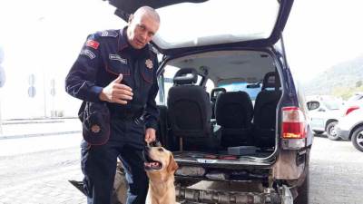  BOŽAJ: Oduzeto 18,7 kilograma skanka 