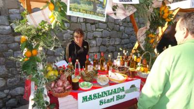  Bar: Sjutra 16. Maslinijada  