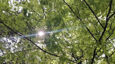  Vremenska prognoza za sjutra 