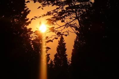  Vremenska prognoza za 24. decembar  