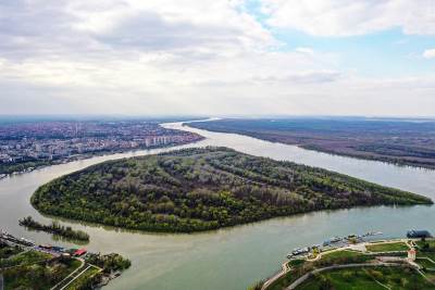  Vepar skočio s garaže u centru Beograda! 