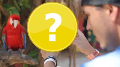  Izabran TELEFON GODINE Evropske asocijacije za hardver 