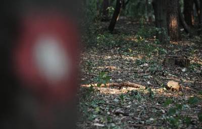  Bijelo Polje Muskarac poginuo u blizini porodicne kuce  