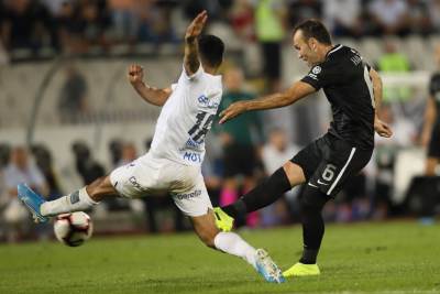  Bibras natho Partizan Liga Evrope 