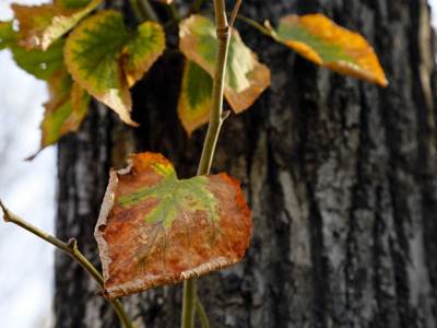  Večeras počinje jesen 