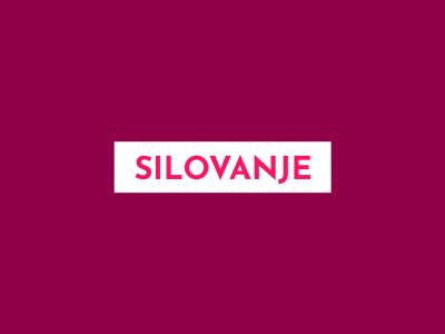  Slovenija-Marokanac-silovao-dve-studentkinje 