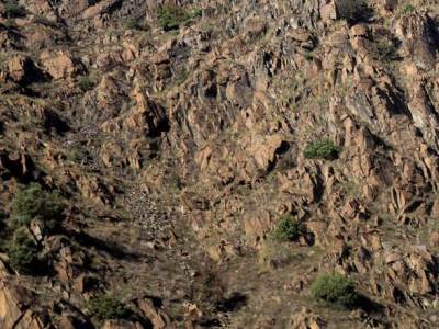  Nesreca-u-SAD-bliznakinje-uspjele-same-da-se-spasu 