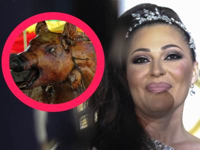  Svetlana-Raznatovic-Ceca-o-praznicima 