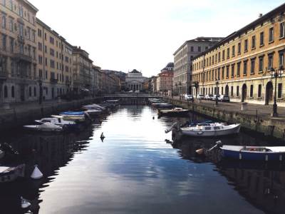  Miodrag-Kostic-kupuje-luku-Trst 