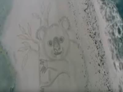  Dzinovska-koala-na-pesku-simbol-katastrofalnih-pozara-u-Australiji-VIDEO 