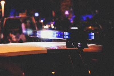  EVO KO JE UPUCANI NENAD ALAJBEGOVIĆ: Druga sačekuša za Alibega 