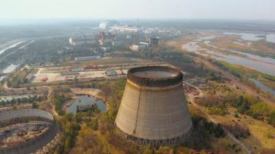  U černobiljskom reaktoru pronađena gljivica koja JEDE radijaciju?! 