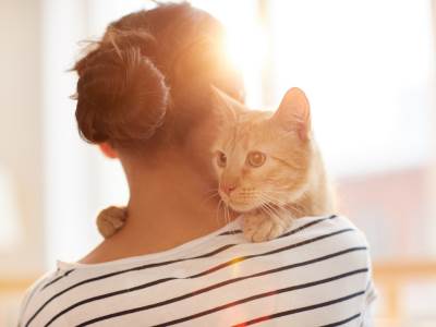  Nova saznanja: Mačke mogu da se zaraze korona virusom, psi ne? 