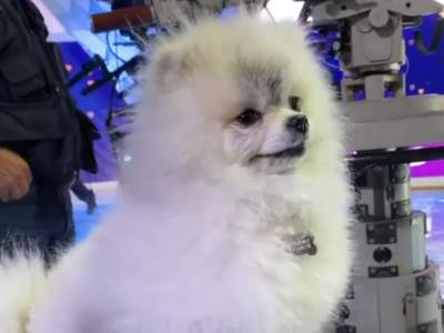  I to se desilo: Ne gledamo u zgodnu voditeljku, već u nju! (VIDEO) 