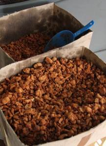  Migrante-na-granici-sa-Srbijom-gadjajte-cvarcima 