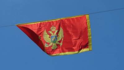  Prijava zbog povrede ugleda države Crne Gore 