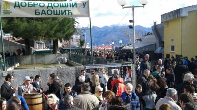  U Baošićima sve miriše na ribu, vino i mimozu! 