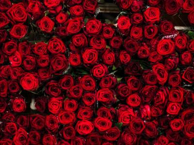  HRANA ZA DUŠU: Najlepši gest koji smo videli do sada (FOTO) 