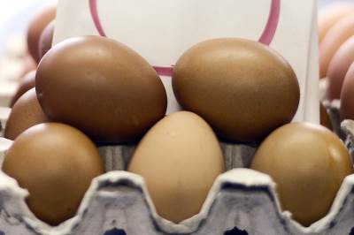  Kako da znamo je li jaje pokvareno 