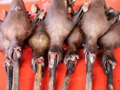  Praksa sa pijace u Vuhanu ZABRANJENA: NEMA VIŠE jedenja divljih životinja! 