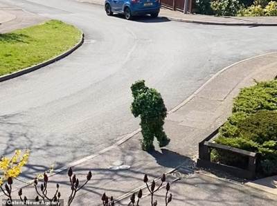  Šta sve rade da se iskradu iz kuće: U PRODAVNICU IDE KAO ŽBUN 