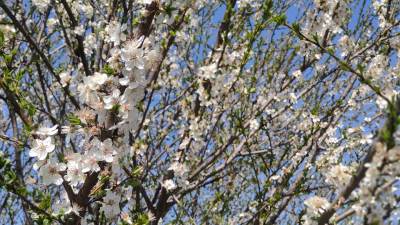  Sjutra pretežno sunčano 