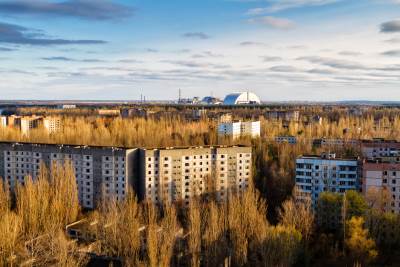  Gori šuma nedaleko od bivše nuklearke u Černobilu 