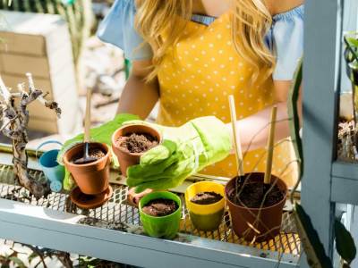  Ulepšajte dane u izolaciji! PET voćki i povrćki koje uspevaju u saksijama 