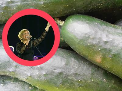  Sanja-Dolezal-Novi-Fosili-zivi-u-vikendici 