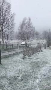  pluzine vremenski uslovi 