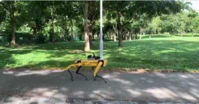  Mere-distanciranja-pas-robot-upozorava-u-Singapuru 