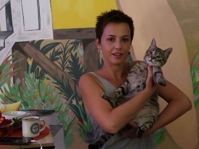  Udomljavanje mačaka kako izgleda život sa mačkom mačke kastracija 