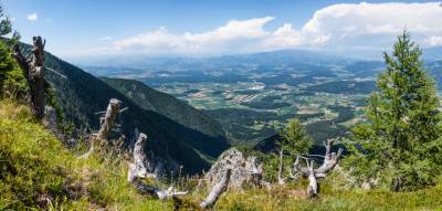  Privatan posed za ustaše i neonaciste u Austriji (VIDEO) 
