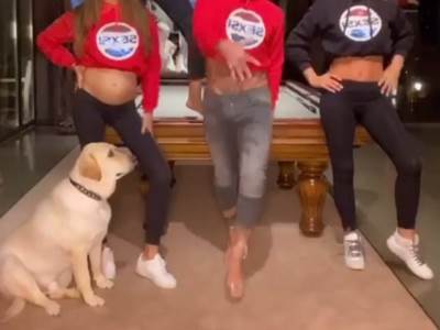  Najbolja cica na slici je... FRAJER! (VIDEO) 