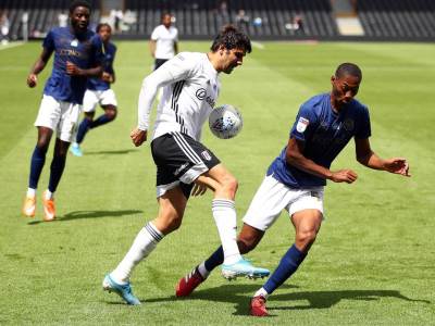  Mitrović je "začupavio", a Fulamu će biti "čupavo" da se vrati u elitu! 