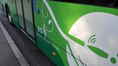  Oni hoće da budu NAJZELENIJA DRŽAVA U EVROPI, a koštaće ih... 