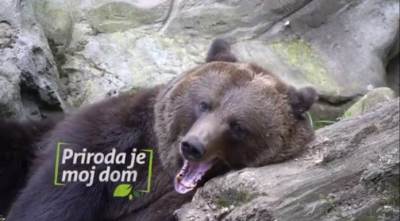  Nacionalni parkovi CG predstavili promotivni spot „Priroda je moj dom“ 