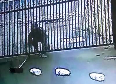  srpske drzavljanke kradja italija rim klan 