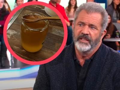  MEL GIBSON ZBOG MEDA I ČILEANKE IDE NA SUD! Delovalo je kao super ideja, ali... 