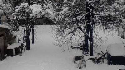  Andrijevica, Plav i Gusinje dobili struju 