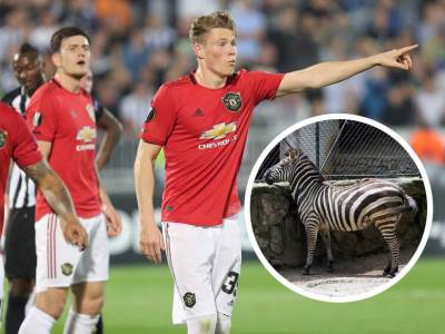  Junajted će nositi ZEBRA dresove naredne sezone, navijači su BESNI zbog ovih šara! (FOTO) 