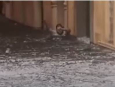  STRAVIČNE CENE IZ VERONE 