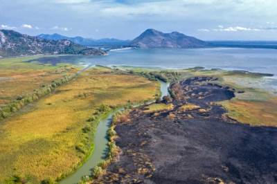  TUŽNE SLIKE IZ NACIONALNOG PARKA SKADARSKO JEZERO: Posle požara ostala samo pustoš (FOTO) 