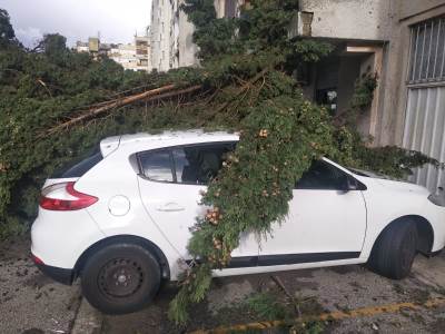  NEVRIJEME SRUŠILO BOR: Pao na auta i zgradu 