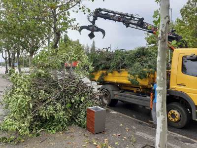  Ekipe Zelenila saniraju štete nastale usljed nevremena 