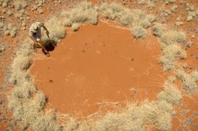  RIJEŠENA MISTERIJA VILINSKIH KRUGOVA 