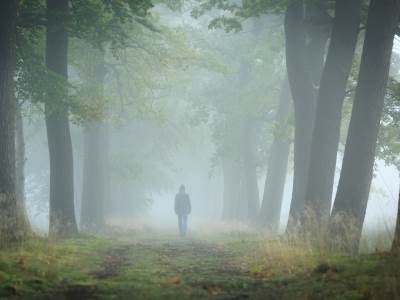  RIJEŠITE KRATAK FROJDOV TEST: Nevjerovatno je tačan, otkriće šta vam se krije u podsvijesti! 