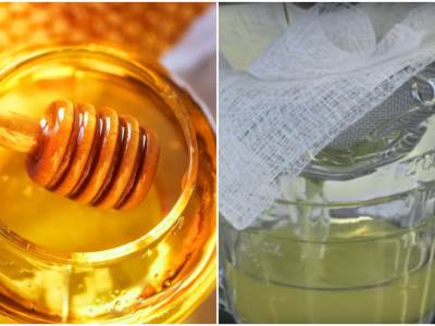  KOMBINACIJA MEDA I GUŠČJE MASTI JE "BOMBA" ZA ZDRAVLJE! Stari narodni lek nema šta ne leči - od bron 